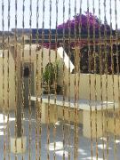 Top Emporio Santorini