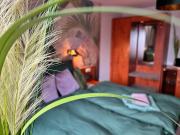 Pension FAULPELZ - Doppelzimmer FLORA