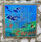 Studio 33m2 avec Terrasse