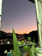 Apto Petrópolis Centro