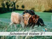 Ferienwohnung Schottenhof Walser 3 - Alleinlage im Grünen mit Panoramablick