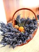 Top Dunavăţu de Sus