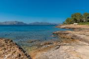 Top Alcudia