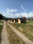 Top Plav