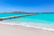Top Alcudia