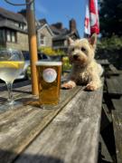Top Ingleton