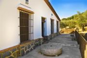 Top Aracena