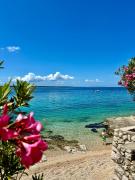 Top Mandre Top Mandre