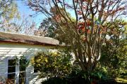 Top Healesville