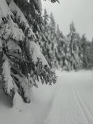 Top Vysoké nad Jizerou