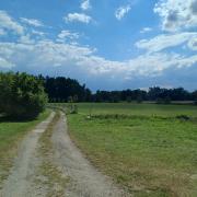 Top Lomnice nad Lužnicí