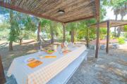 Masseria Le Palmentelle Pool And Garden - Happy Rentals