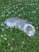 Top Wolframs-Eschenbach