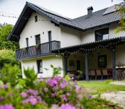 Cabana Patric Valea Avrigului