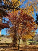 Top Peralejos de las Truchas