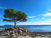 Duplex La Terrasse Jasmin