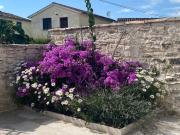 Casa Tratinella Casa Tratinella