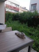 Top Les Pavillons-sous-Bois