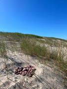 Top Ventspils