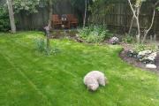 Top Croxley Green