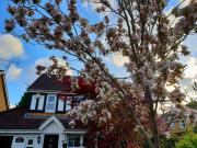 Top Croxley Green