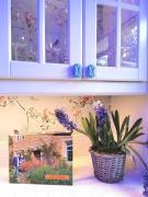 Top Croxley Green