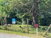 Ferme du Peyronin