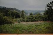 Top Svojanov