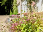 Les Charmes - Climatisation - Terrasse - Nature