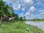 Top Sauraha