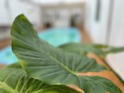 Top San Clemente del Tuyú