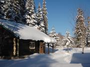 Domaine le Bostonnais - Le Village en Bois Rond