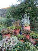 Top Robledo de Chavela