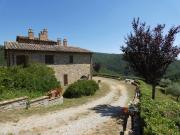 Top Parrano