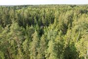 Pasakų trobelė