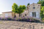 Top Vaison-la-Romaine
