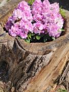 Seapark apartments with private entrance and parking