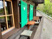 Top Troistorrents Top Troistorrents