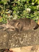 Top Hermanville-sur-Mer