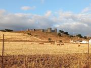 Top El Real de la Jara