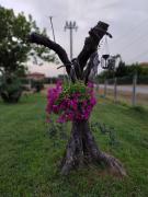 Top San Donato