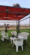 Top San Donato