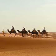 Trekking Desert
