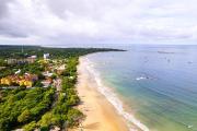 Top Tamarindo