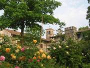 "Vicinia" with garden in the castle