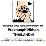 AtMyHomeStay Bangsaphan