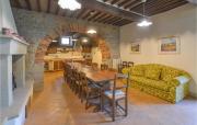 Top Arezzo