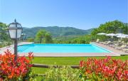 Top Arezzo