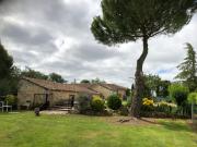 Top Fouquebrune Top Fouquebrune