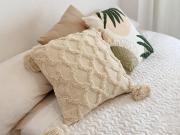 Top Puebla de Alcocer